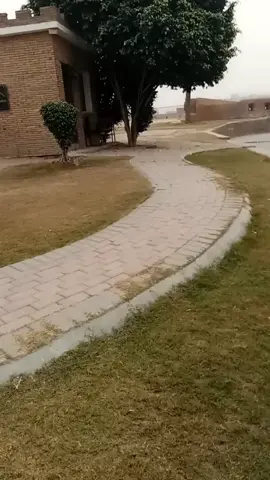 #pyfツviral_❤ #furyou #cute #capcut #cup #pyfツ #viral #pyf #tiktoktrending #tiktoktraditions #tiktoktrend @tiktoktrend 