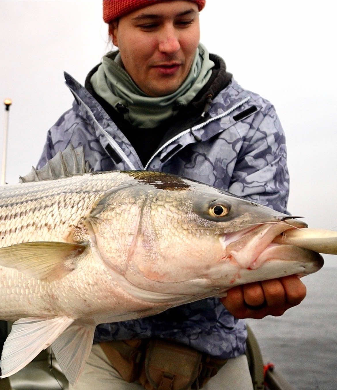 Not much beats the anticipation of trying to feel the size of the fish on the other end of the line. Stoked to get this big gal aboard 🤙 #stripedbass #striperfishing #jigging #saltwaterfishing