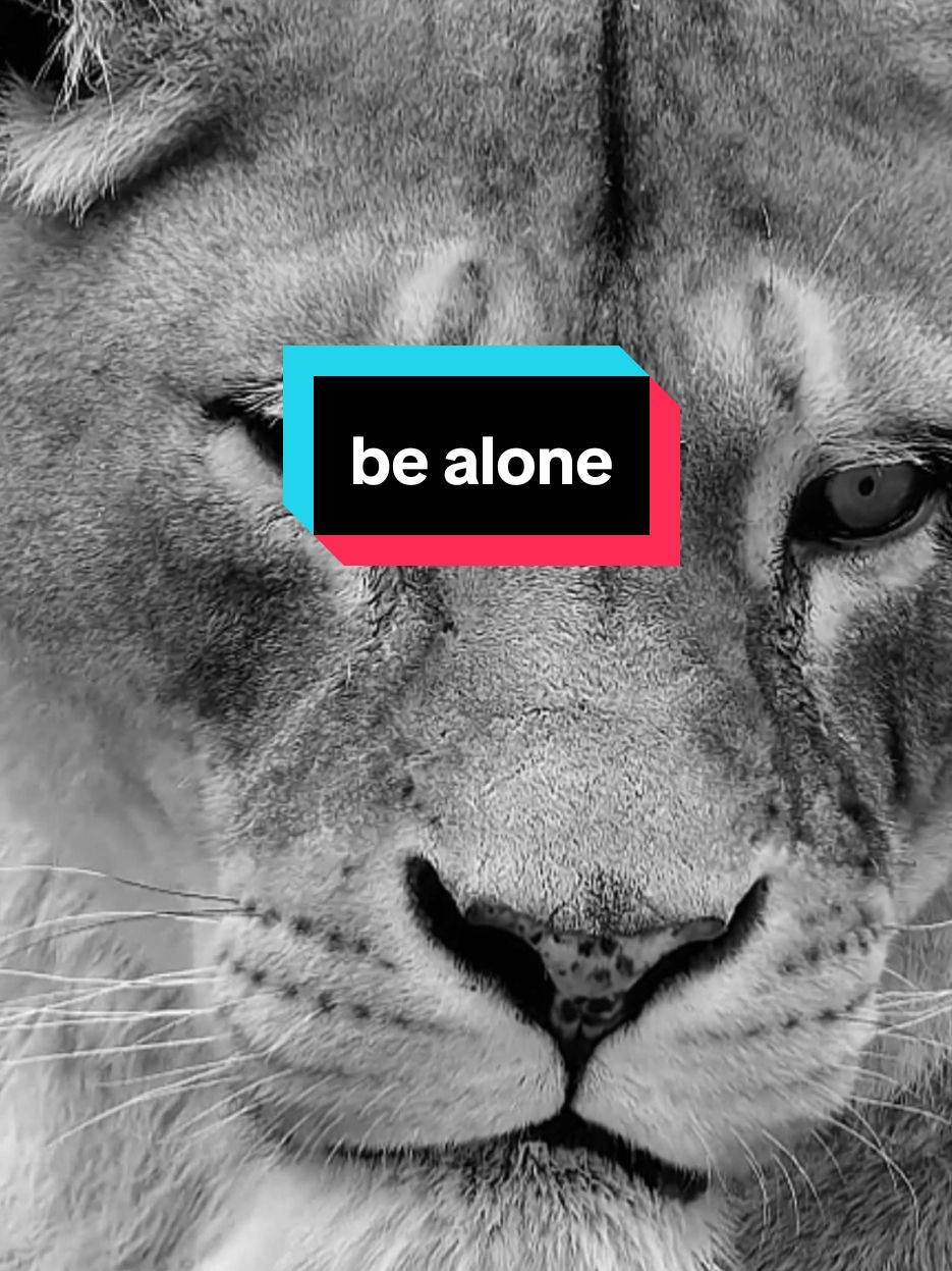 أنا لست كأي أحد. أنا قصة لا تتكرر I am not like anyone else. I am a unique story #اقتباسات#حالات_واتس #تيك_توك#اكسبلور#ترند#عبارات #تحفيز #motivation #creatorsearchinsights #motivationalquotes #motivationmonday #motivationalvideo #explore #pourtoii#fyp #videoviral #السعودية #العراق #سوريا#الاردن #لبنان #ليبيا #عمان #فوريو #الكويت #فرنسا #قطر #البحرين #الامارات #المغرب #الجزائر#تونس #ستوريات 