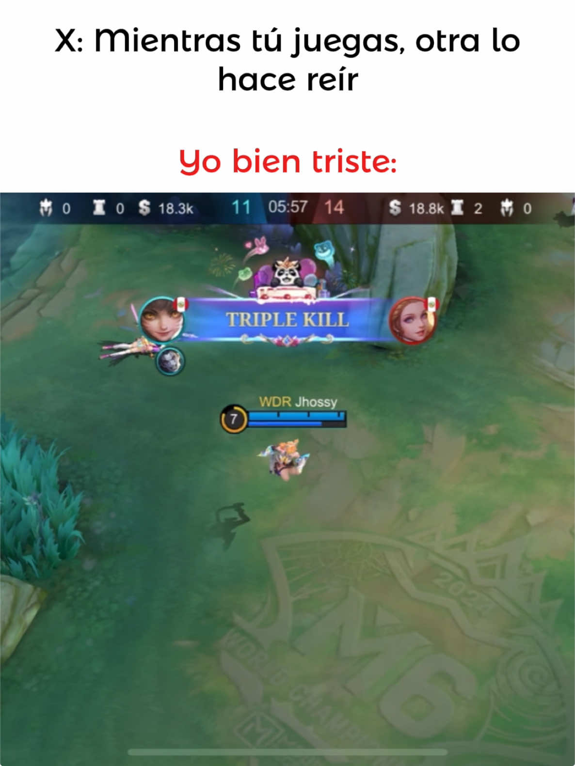 Ignoren esto, m rugen las tripas 😔 #PapaNoelChanel #MLBBBonosNavideños 