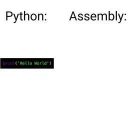 Idea: @runner_it #programming #python #assembly #computer #lockedin 