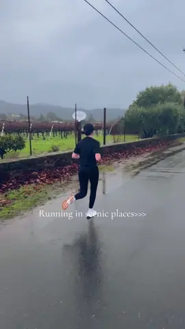 Sonoma views will be hard to beat #fyp #sonomavalley #napavalley #napa #sonoma #Running #views #runner #runnerviews #runningviews #views #scenic #scenicruns 