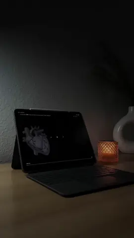 #quran #قران #wordkrd 