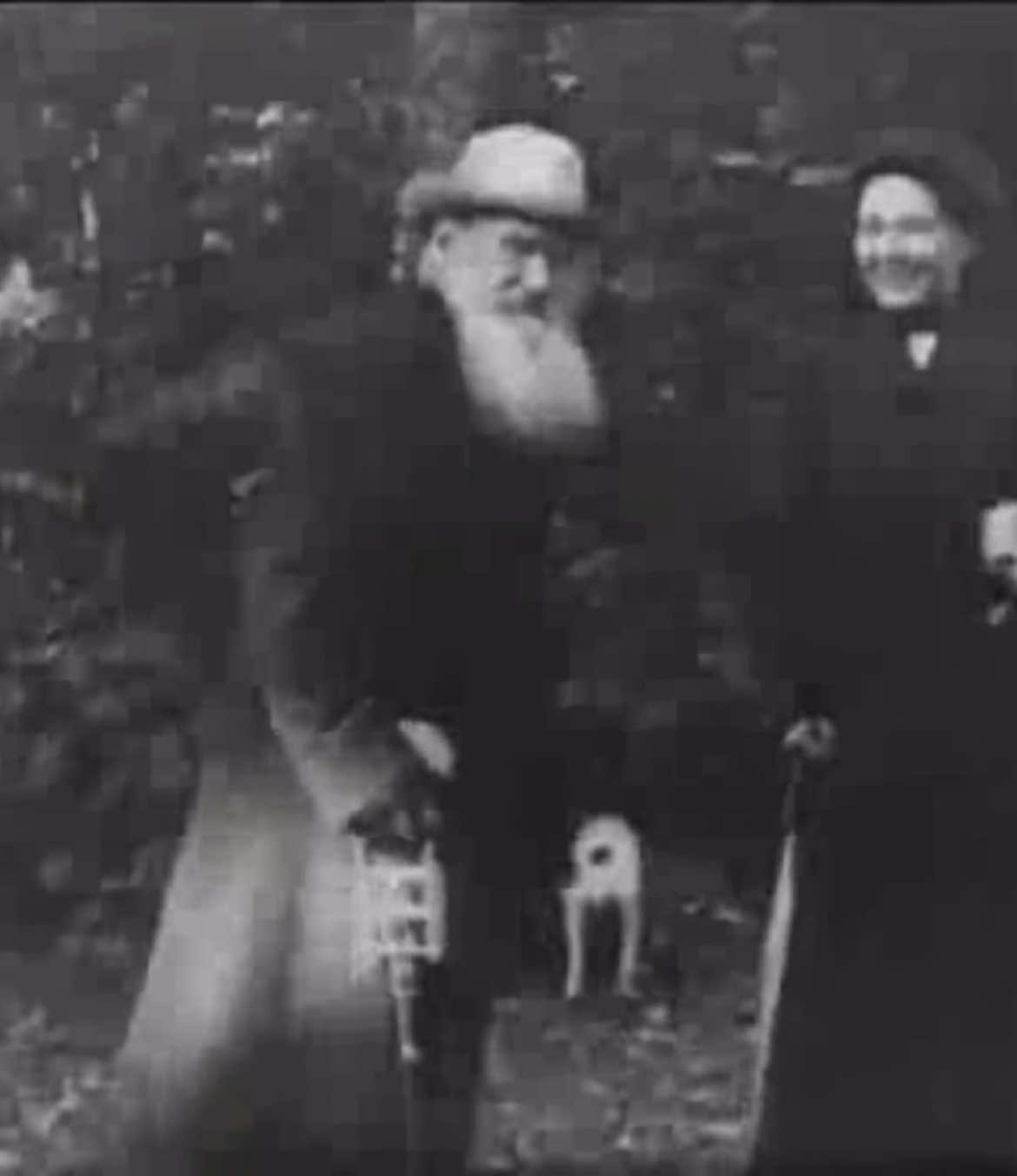 #leotolstoy #tolstoy #literature #History #russianhistory #russianliterature 