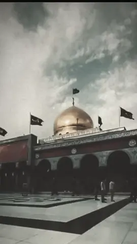 الشام هاي#مرقدالسيده_زينب_عليها_السلام #ياحسين_اسمك_احسه_عايش_بنص_الدلي #ويبقى_الحب 