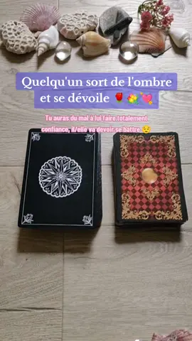 🔮🌹💐💘😌 Ce tirage est une aide, un éclairage pour t'aider à avancer. Il ne détermine pas ton futur, tu es seul-e maître de ta vie et de tes décisions. Il reflète les énergies au moment où tu reçois ce message. Tes actions, tes décisions et celles des personnes concernées par cette situation influent sur le futur à chaque instant. Prends uniquement ce qui te parle, ce qui résonne avec ce que tu traverses et écoute ton intuition. Cette lecture est générale et collective, elle ne peut pas correspondre à tout le monde. ⚠️Je ne fais ni voyance privée ni retour affectif, je n'ai pas de prestation payante dans la voyance, attention aux faux comptes, je ne fais pas de partenariat de voyance... Méfie-toi des arnaques avec mon nom, mon logo et mes publications 🙏 Mes oracles et mes pierres divinatoires sont en vente dans ma boutique Etsy (le lien est dans mes profils TikTok, Instagram et sur ma page Facebook), je ne demande jamais de paiement par PayPal, virement ou mandat cash. Je te souhaite une magnifique journée 🌞#guidancesentimentale #tiragesentimental #messagedujour #guidance #guidancedujour #tarot  #oracle #cartomancie #voyance #tiragedujour 