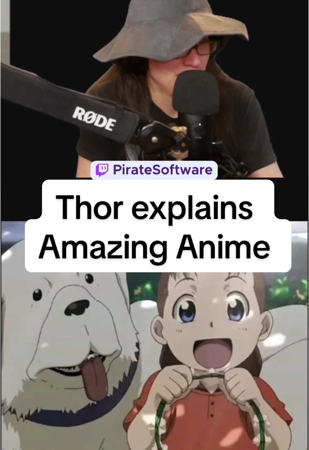 Thor explains Amazing Anime #piratesoftware #gamedev #animetiktok #fullmetalalchemist 
