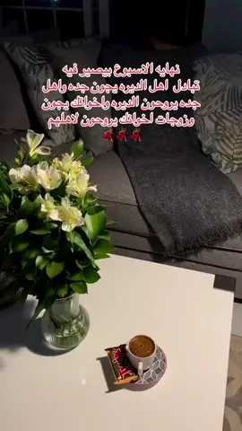 #fypシ #الشعب_الصيني_ماله_حل #اكسبلورexplore #اجازه_سعيده_للجميع 