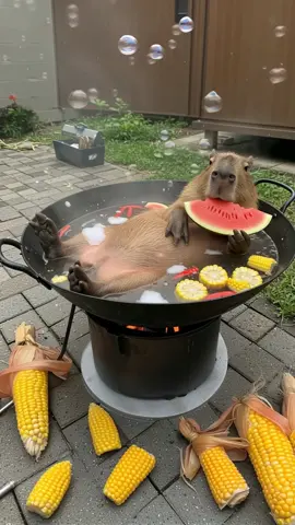 Capybara eating watermelon. (AI Generated) #ai #foryou #foryoupage #fy #fyp #fypage #fypシ゚viral #viraltiktok #PetsOfTikTok #capybara #capybaratiktok #watermelon #funny #funnyvideos #viralvideo 