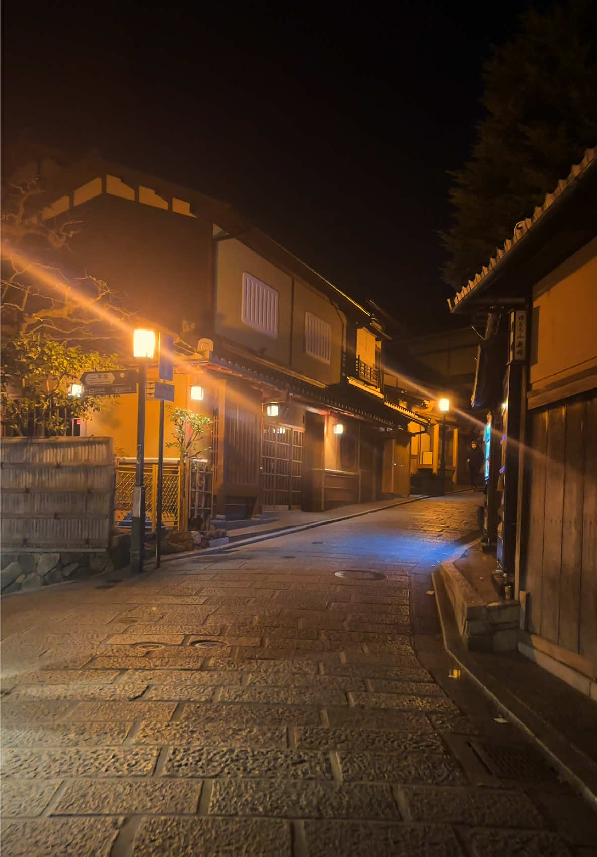 Kyoto 😫😖🫵⛩️🏮🪭✨ #fyp #japan #日本 #おすすめ #aesthetic #lewatberanda #xyzbca #4upage #japaneseculture #kyoto #vibes 