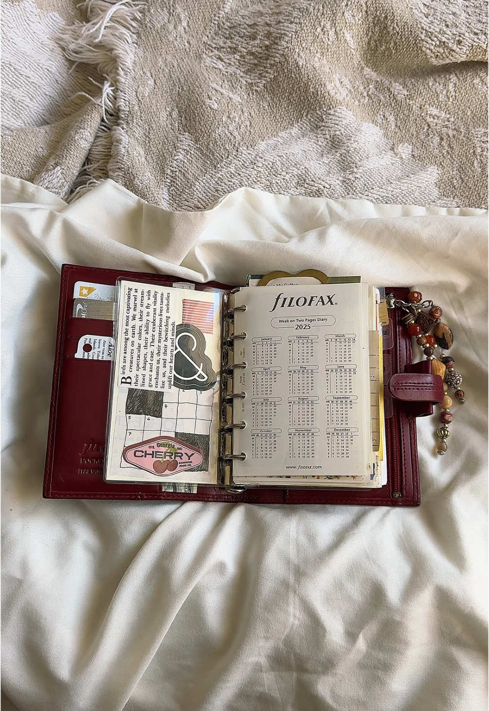 my 2025 pocket Filofax setup is completeeee!!✨ready to start this year off right :)  a full tour of my setup is live on YouTube in case you’re curious!!💛💛 #filofax #planner #planwithme #planning #visionboard #2025 #2025planner #2025planning #aesthetic #ringsplanner #pocketplanner 