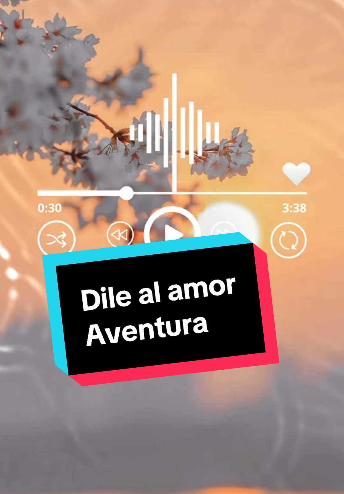 Dile al amor/ aventura 2009 #canciones #cancionesdeamor #musica #aventura 