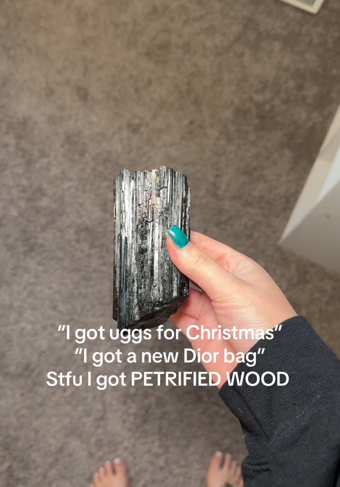 Me and my older brother do this thing where we just get eachother weird rocks and petrified wood as gifts and I truly want for nothing else  #christmas #whatigotforchristmas 