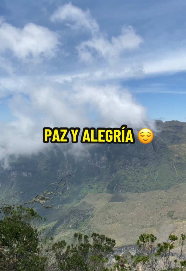 Vive mi alma un lindo momento #parati #popular #elandariego #juancarloshurtado #despecho #lyrics #letras #estadosparawhatsapp #estados #viral_video 