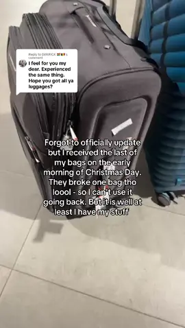 Replying to @DERRICK 🇬🇭🇧🇪 all the food was thrown out tho #fyp #dettydecember #ghanatiktok #luggage  #ghana #viraltiktok #ghana #turkishairlines #flights 