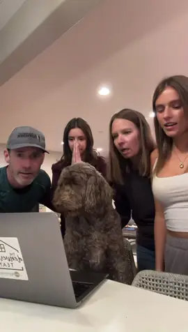 Our girl did it! Harvard Bound! Oldest dog to be admitted!