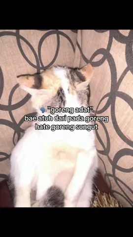 #fyppppppppppppppppppppppp #fypp #fypage #4u #foryoupage #fyp #sunda #bangbunghideung 