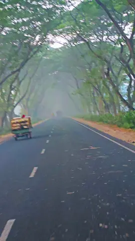 শীতের কুয়াশা জরানো সকালে এতো সুন্দর রাস্তা আর এতো সুন্দর ভিউ আহ কি সুন্দর 🫶🖤#ibrahim🖤🌼 