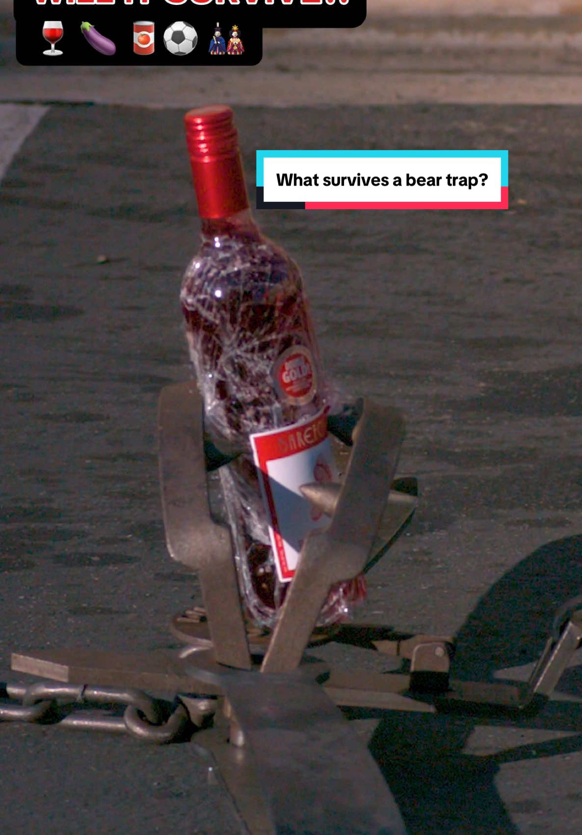 What survives a bear trap?! 🪤 (wait for the last one! 😱) #slowmo #challenge @Legendary Shots 