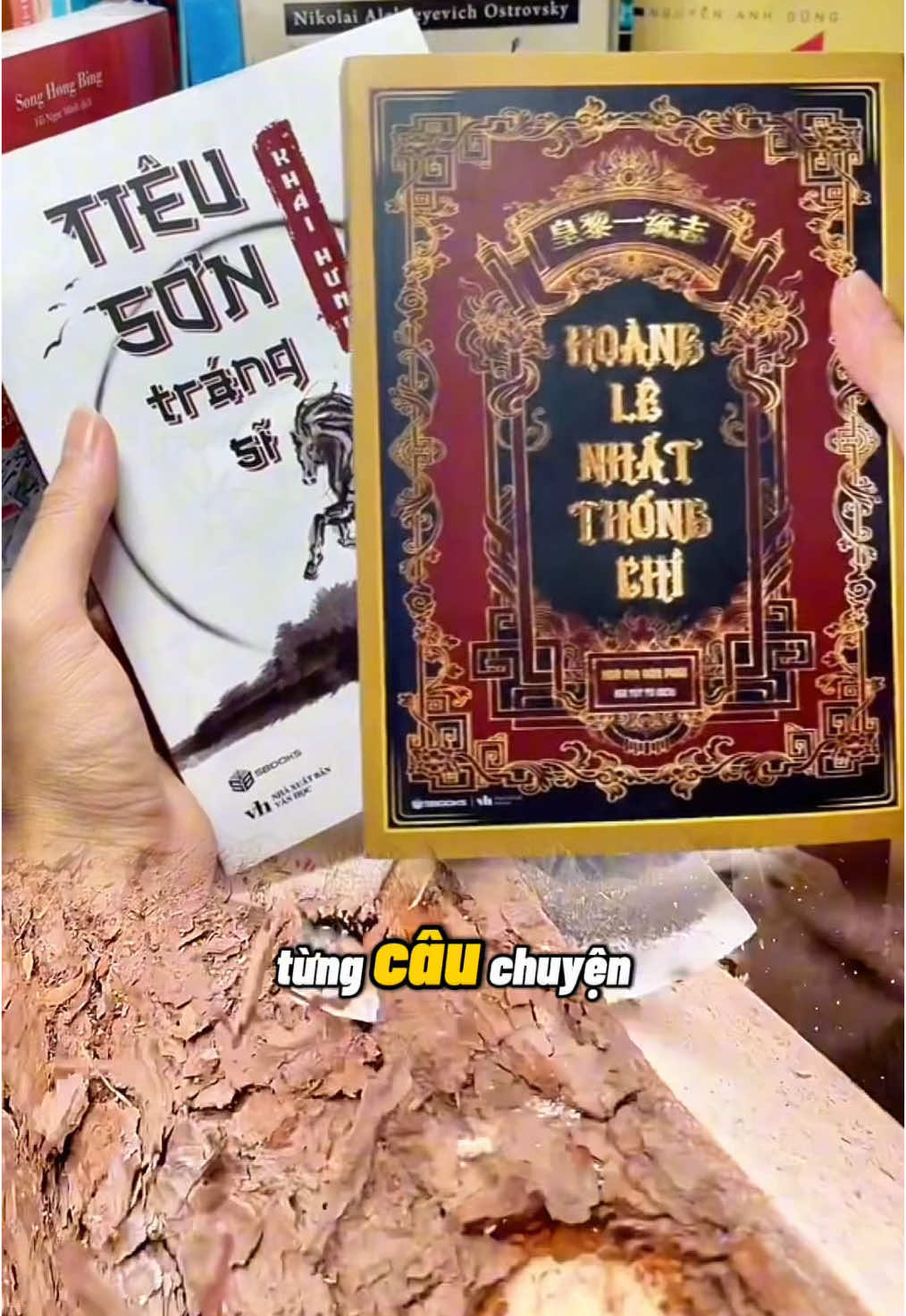 Hãy cùng tìm hiểu về lịch sử Việt Nam qua hai tác phẩm Hoàng Lê Nhất Thống Trí và Tiêu Sơn Tráng Sĩ #LearnOnTikTok #baihoccuocsong #trietlycuocsong #phattrienbanthan #BookTok #sachhay 