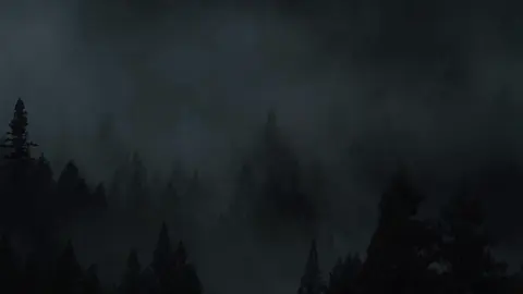 Peace in the darkness