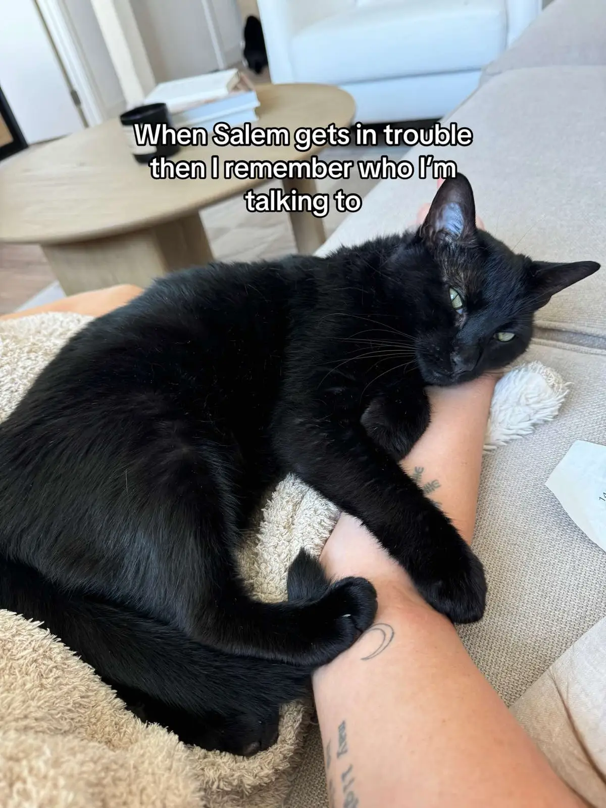 My baby say say girl forever 🫶🏼 #cat 