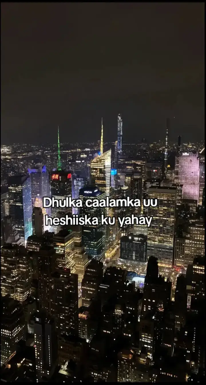😂😂😂😂