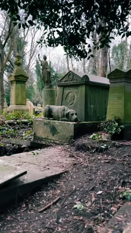 True loyalty. Cemetery. #nostalgia #atmospheric #beautiful #cemeteries #oldcemetery #peace #forgotten #tranquillity #peaceful 