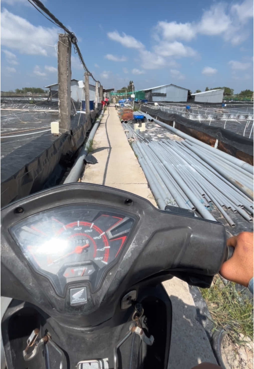 Nắng 🤯😵‍💫🥵 #nuoitomcongnghecao #xuhuong #xuhuongtiktok #nuoitomtrenaolotbat #tomgiong #letuankhang #phanvanlanh 