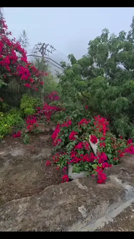 #جارة_القمر_فيفاء_الجنوب_السعودية😍 #إكسسسسسسسسسسبلوووررر🌹🕊🤍 