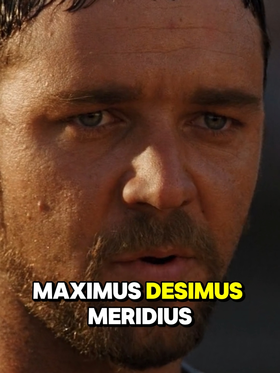 Mon nom est Maximus Decimus Meridius... et toi, tu connais ton destin ?⚔️🔥  #gladiateur  #honneur #gladiators #cinema #extraitdefilm #movies #films #maximus #joaquinphoenix #russellcrowe #legend 