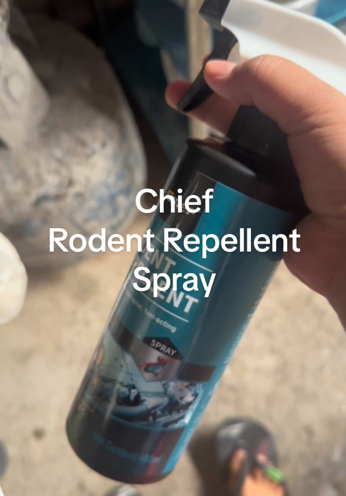 This is safe and effective i know you need this too 😜 #repellent #spray #rodent #chief #repellentsprayrat #ratspray 