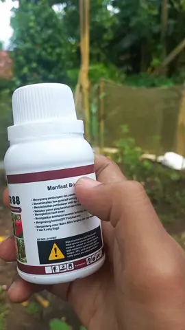 Booster 88 - Merupakan hormon pembungaan dan pembuahan yang bagus untuk memaksa tanaman berbuah.