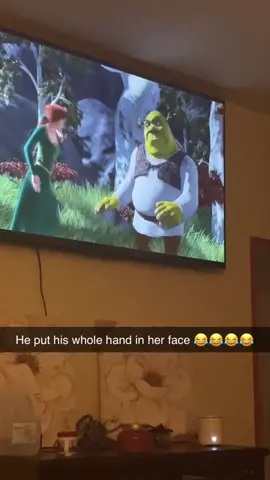 Shrek said hold up, wait 😂! #fyp #foryou #foryoupage #foryourpage #shrekmovie #dreamworksanimation #princessfiona 