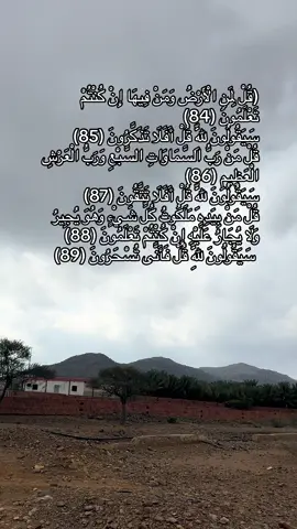 ﴿قُل لِّمَنِ الْأَرْضُ وَمَن فِيهَا إِن كُنتُمْ تَعْلَمُونَ  #تلاوة_خاشعة #لا_اله_الا_الله_🌹 #سبحان_الله_العظيم 