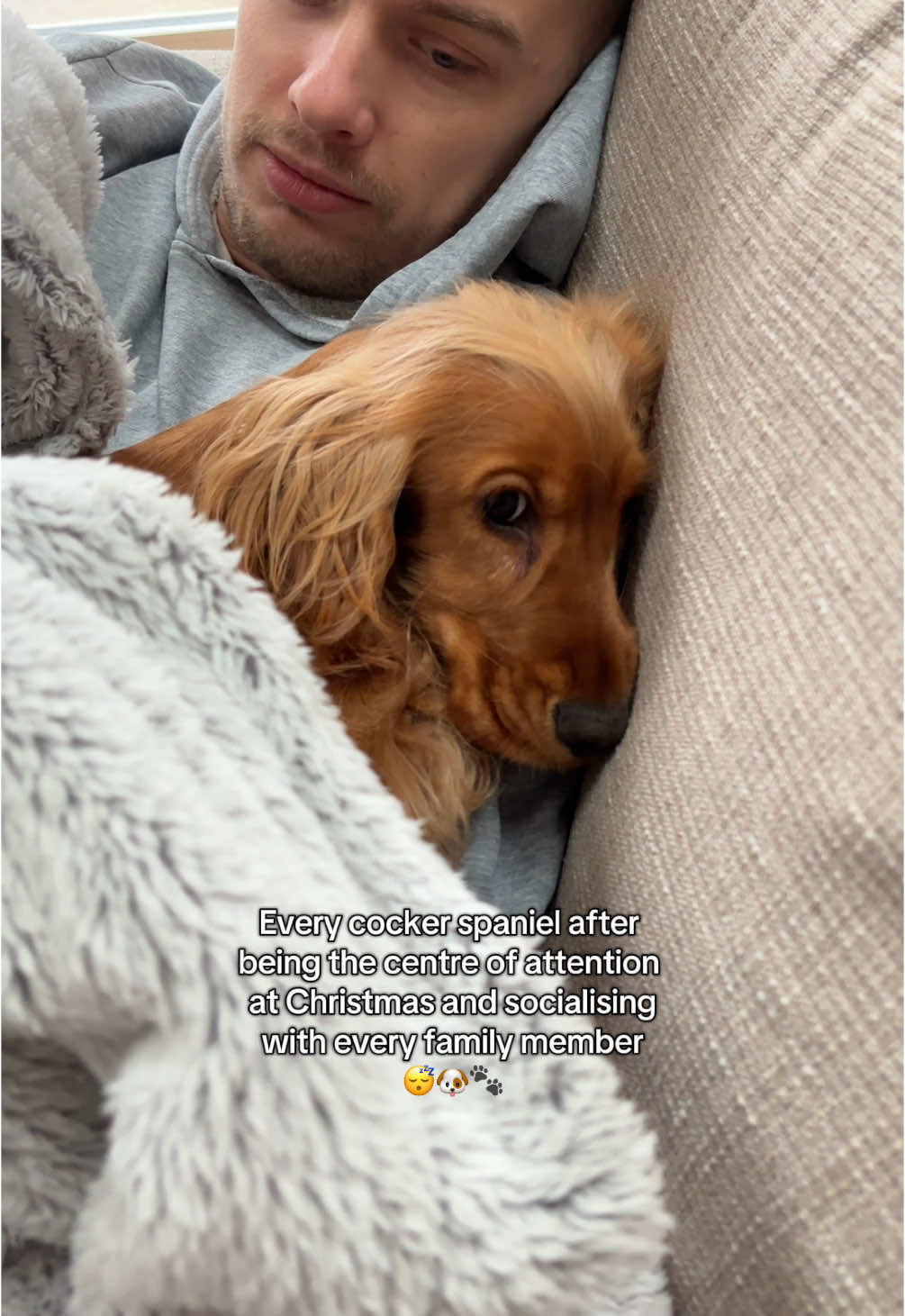 Never seen her sleep so much to be honest 🤣 #cockerspanielpuppy #cockerspaniel #puppylife #puppytok #cockerspanielsoftiktok #cockerspaniels #cockerspaniellove #puppylove #puppydog 