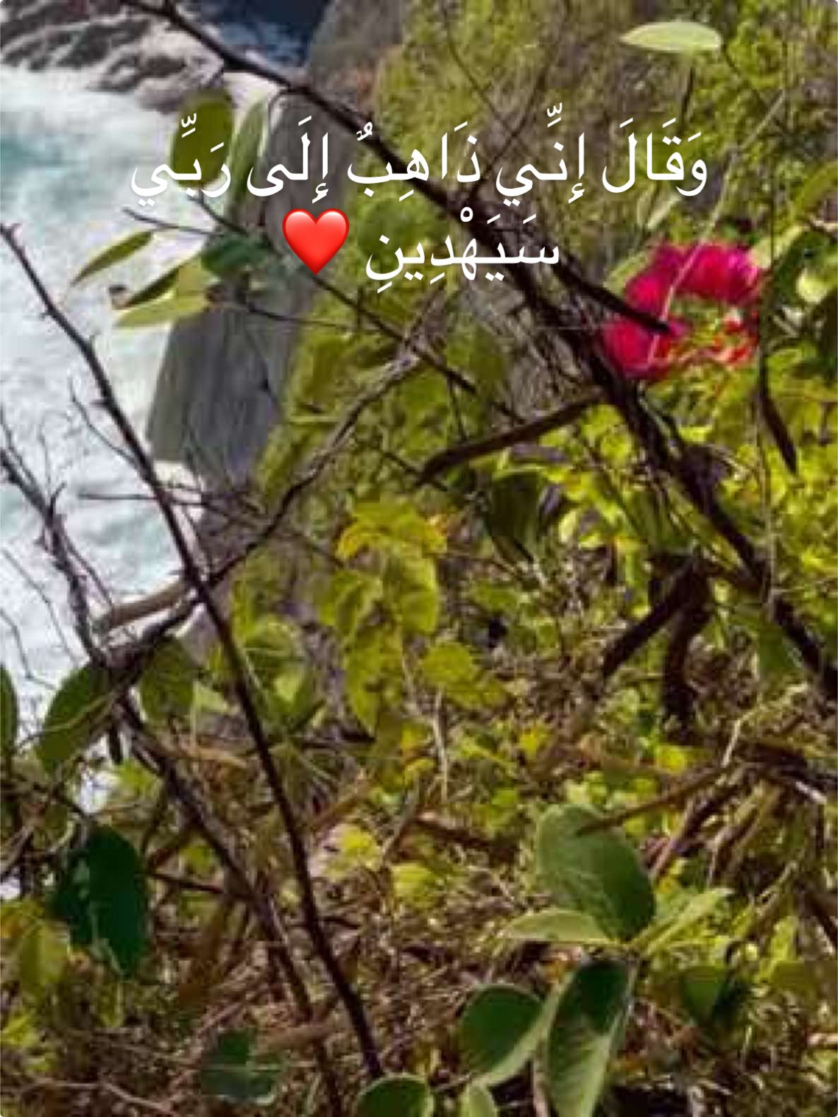 وَقَالَ إِنِّي ذَاهِبٌ إِلَى رَبِّي سَيَهْدِينِ ❤️