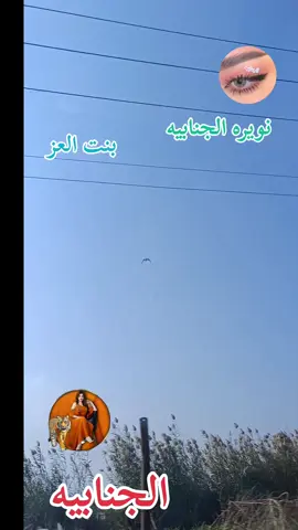 الجنابيه –_ ابوذيات _– بنت العز #capcut #الشعب_الصيني_ماله_حل😂😂 #tik_tok #fypシ゚viral 