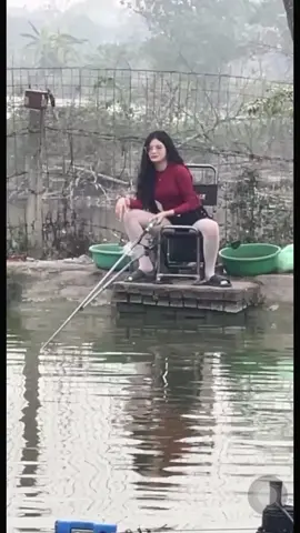 Báo trắm trắng, các cụ đoán trắm này mấy kí 😂 #cauca #momthudicau😂 #hocauminhvu #momfishing 