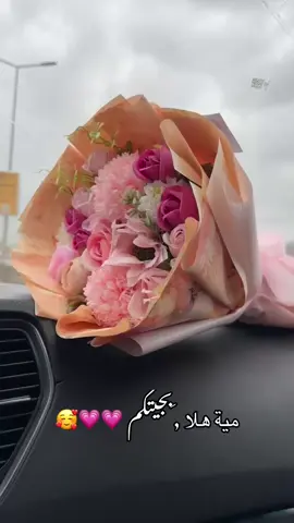 #اكسبلور #رايكم_بالفيديو #مية_اهلا_وسهلا #اختي_حياتي #اختي #دعموني #دعم_المشاريع_الصغيره #دعمكم_لايك_ومتابعه_واكسبلور_حته_استمر #لايكاتكم #اكسبلوررررررر 