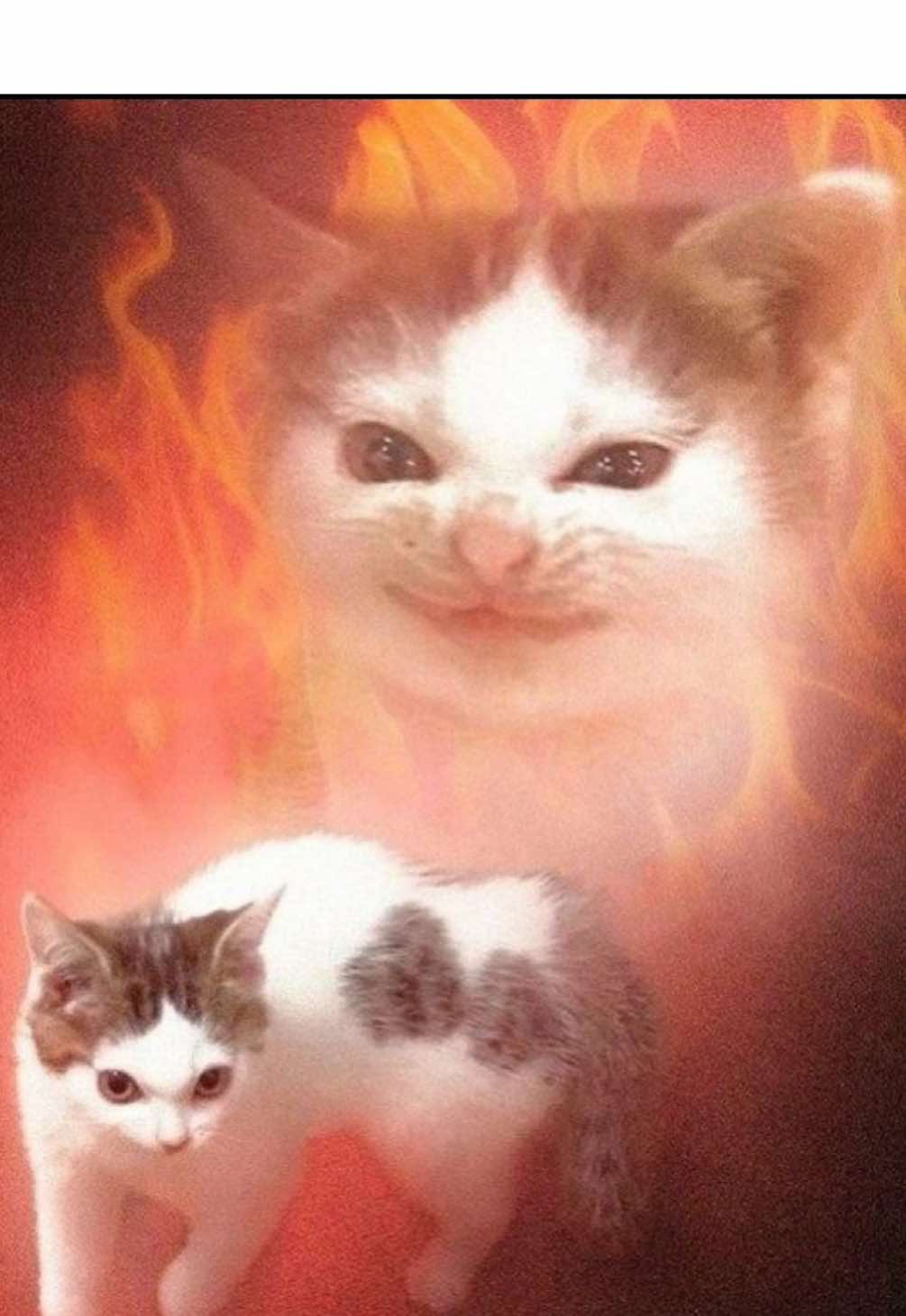 AURA LOST LMAFOO |Give me credits if you repost!| (og vid from pastel9614)#squidgame #sgs2 #squidgameseason2 #pinksoldiers #netflix #fyp #foryoupage #xybzca #viral #flowerkncws #gihun #456 #222