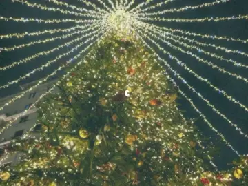 ДО НОВОГО ГОДЫ 38 ЧАСОВ!!!!!! #нгпесни #новогодниепесни #песни #песня #НовыйГод #новыйгод #нг #2025 #дискотекаавария #сновымгодом #lyrics #fyp #популярное 