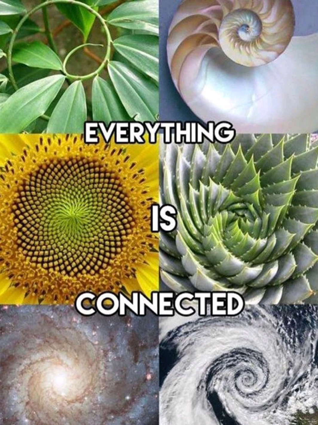Life core #nature #existence #living #biology #human #meaning #corecore #creation #fyp #fypp 