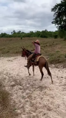 #viraliza #agro #fyp #muladeiros 