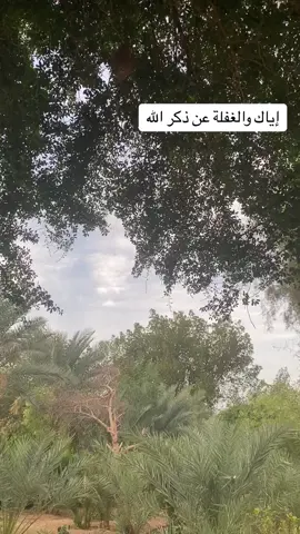 #explore #fey #feyre #feyre #virall 