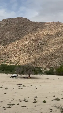 ديار فهم سقاها الله #مناظر_طبيعية #صيد #مكشات #اجواء_الشتاء 