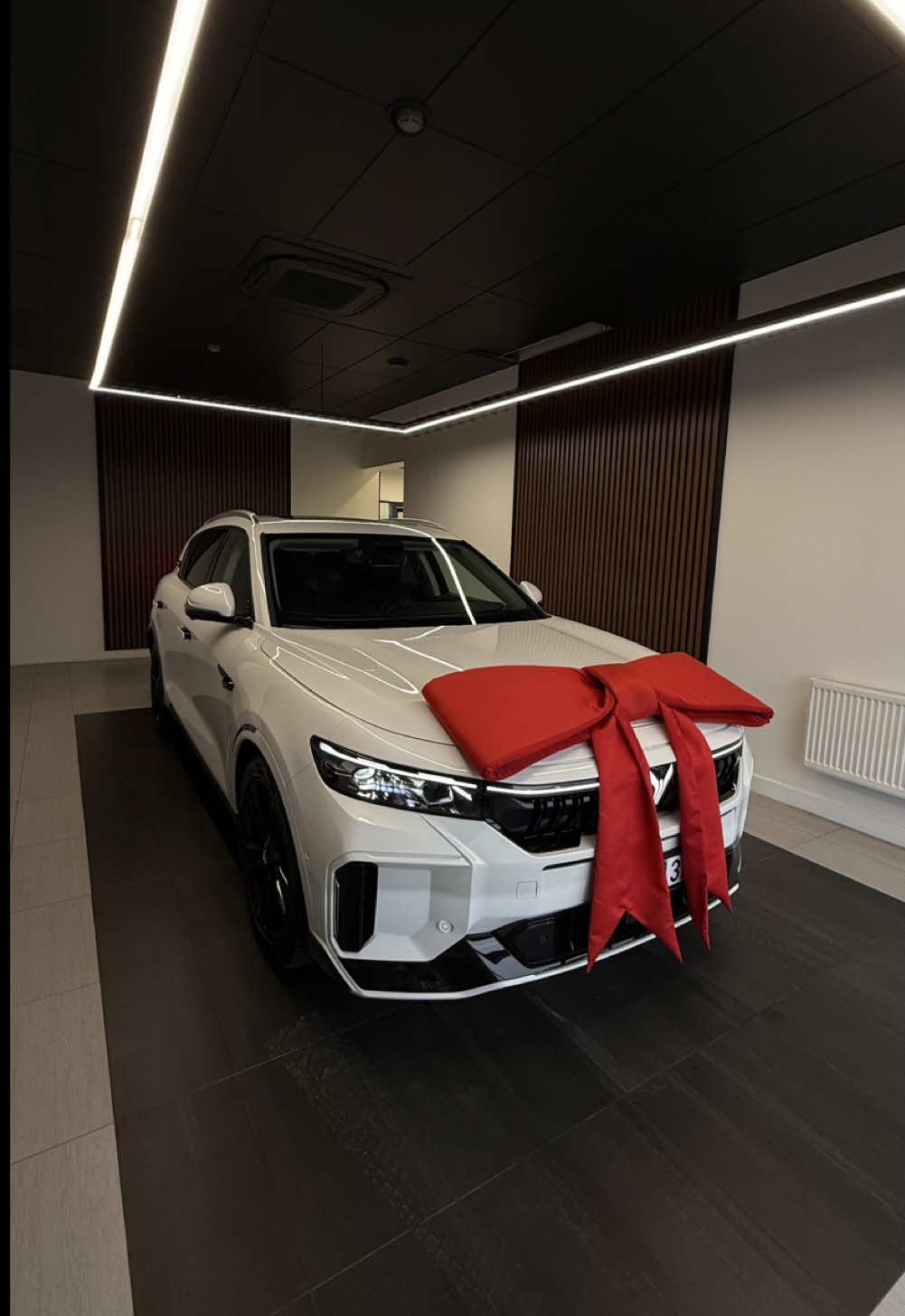 #voyah #voyahfree #минск 