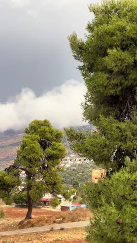 أمطار اليوم الاردن _السلط #مجرد________ذووووووق🎶🎵💞 #تصويري📷 