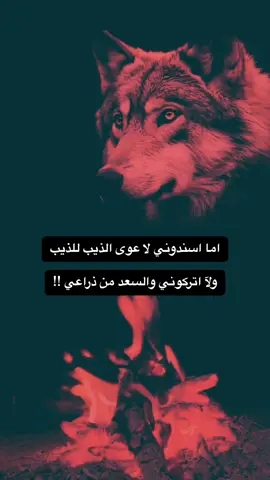 #الاردن_السعودية_فلسطين_احساس_شاعر_لايك_فضلآ_وليس_أمرآ 