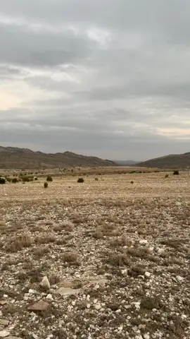 #ديار_عوال_الصقر #تصويري #اكسبلور #اجواء_الشتاء #مطر #